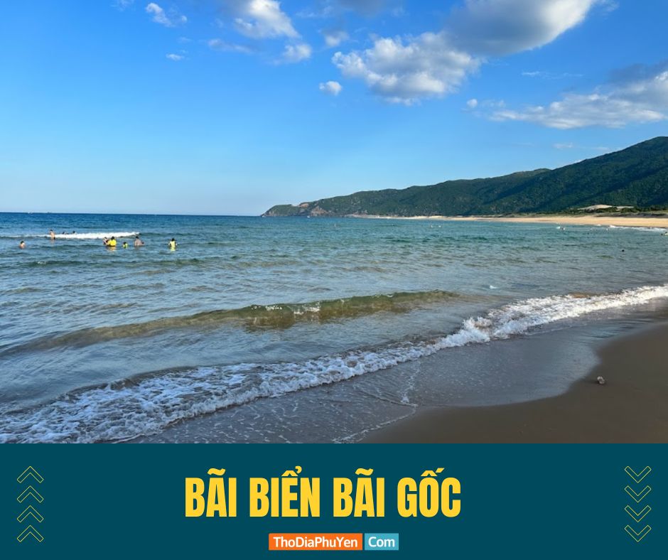 bãi biển bãi gốc